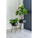 Lot de 2 Pots de Fleurs Ardola : Élégance et Fonctionnalité