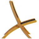 Chaises de jardin pliantes noires en bois - lot de 2