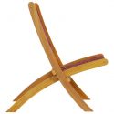 Chaises de jardin pliantes rouge en bois - lot de 2