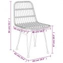 Chaises de jardin métal et Resine tressee - lot de 2